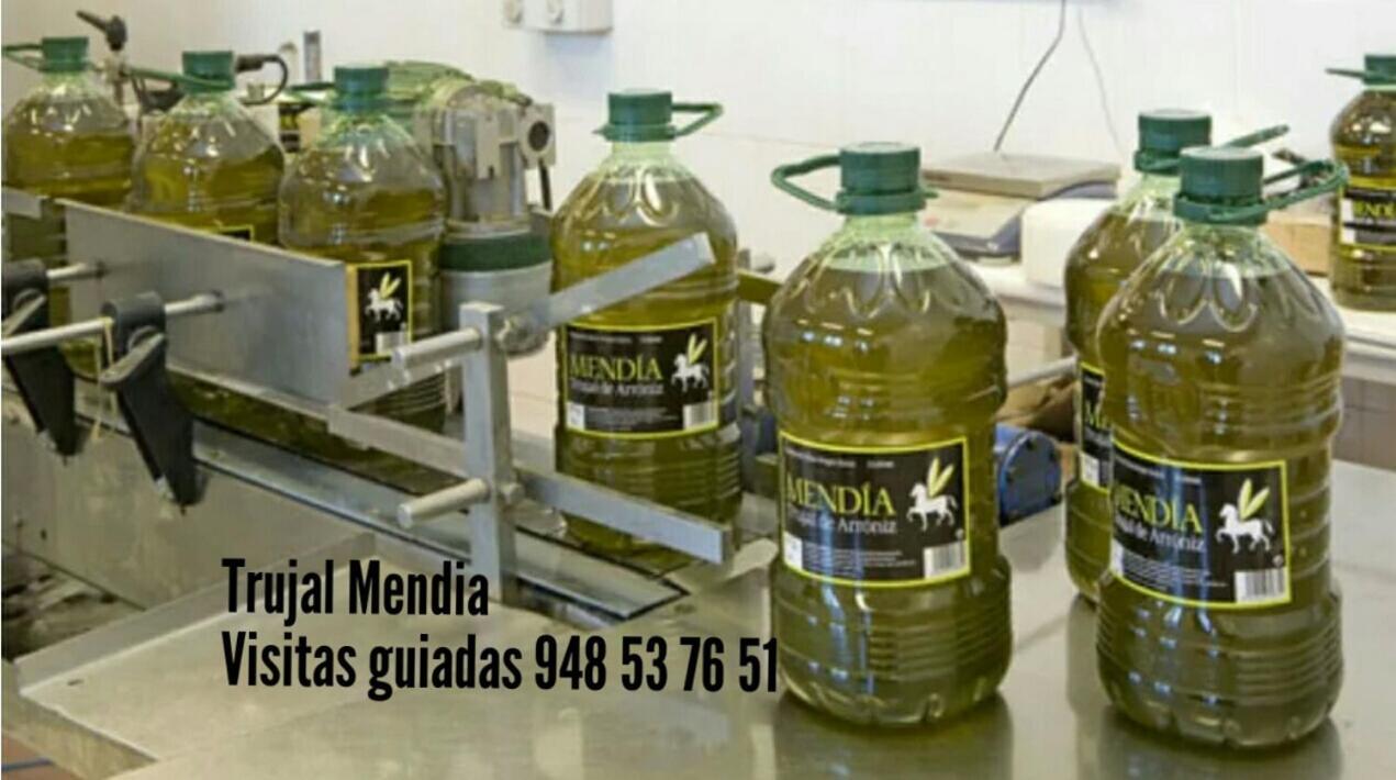 Greta Etxea Villa Arroniz Luaran gambar